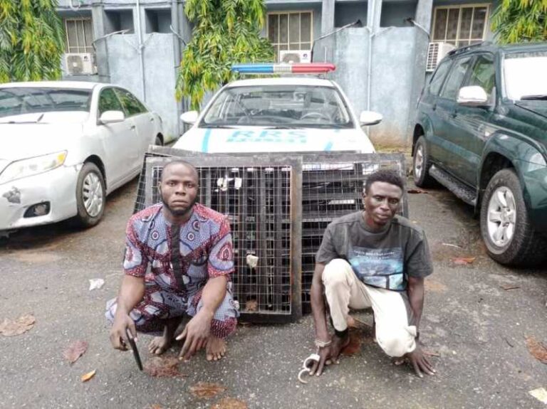 RRS-Nabs-Two-Suspects-1