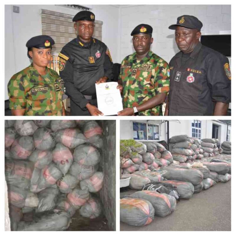 NAVY-INTERCEPTS-187-BAGS-OF-CANNABIS-2