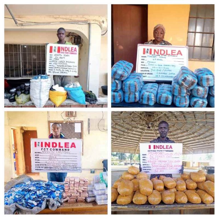 NDLEA-INTERCEPTS-BUSINESSMAN-WITH-LARGE-CONSIGNMENTS-1