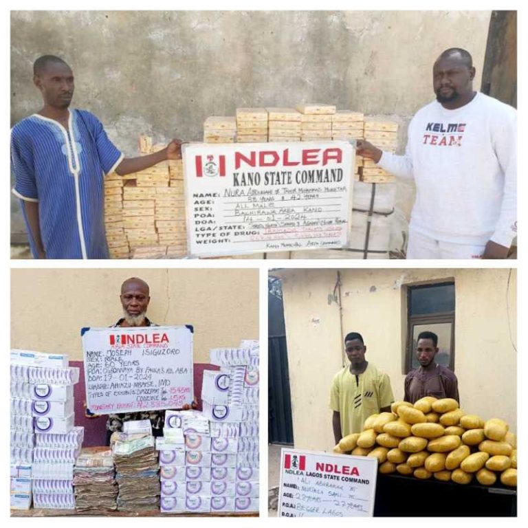 NDLEA IMPOUNDS (1)