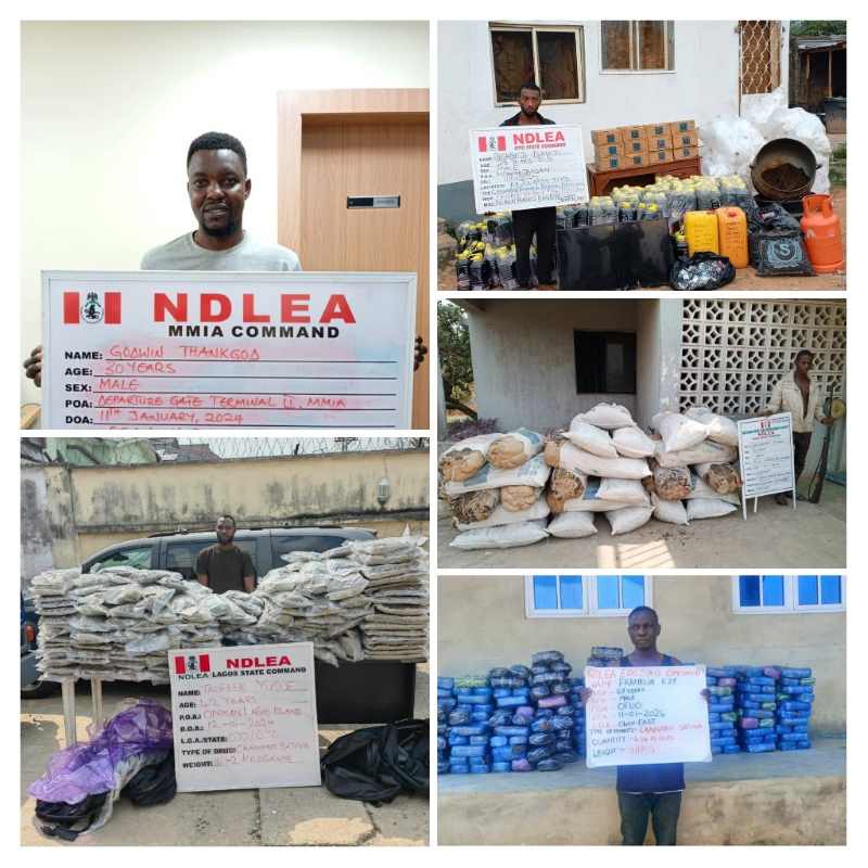 NDLEA-INTERCEPTS-LARGE-CONSIGNMENT-OF-CANADIAN-1