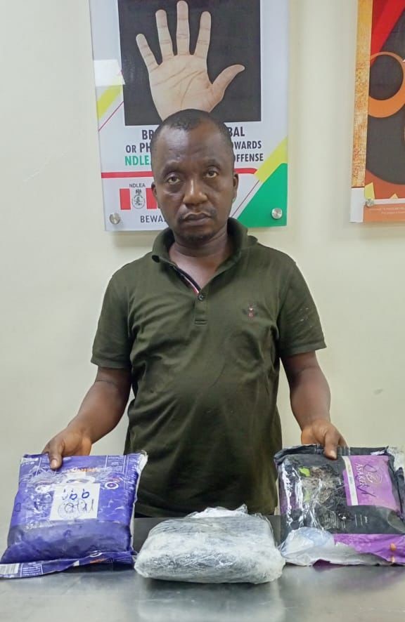 NDLEA NABS THREE WANTED KINGPINS (3)