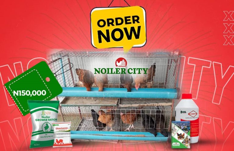 AMO FARM SIEBERER HATCHERY LAUNCHES NOILER