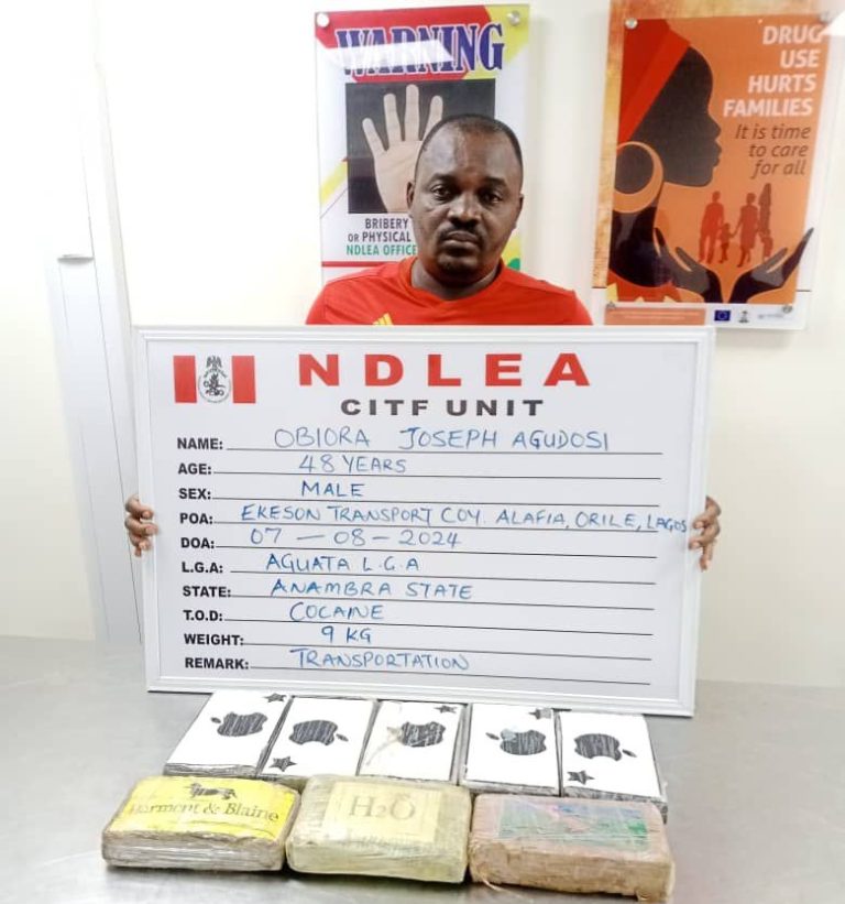 NDLEA CONFISCATES MULTI-BILLION DRUGS (1)