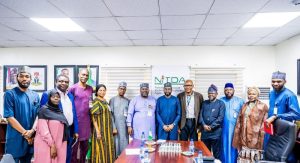 NCAC, NITDA SYNERGISE TO BRIDGE 2