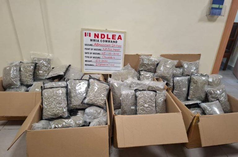 NDLEA UNCOVERS DRUGS IN GREEN