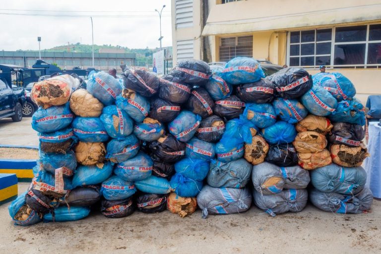 FCT POLICE CRACKDOWN ON DRUG DEALERS