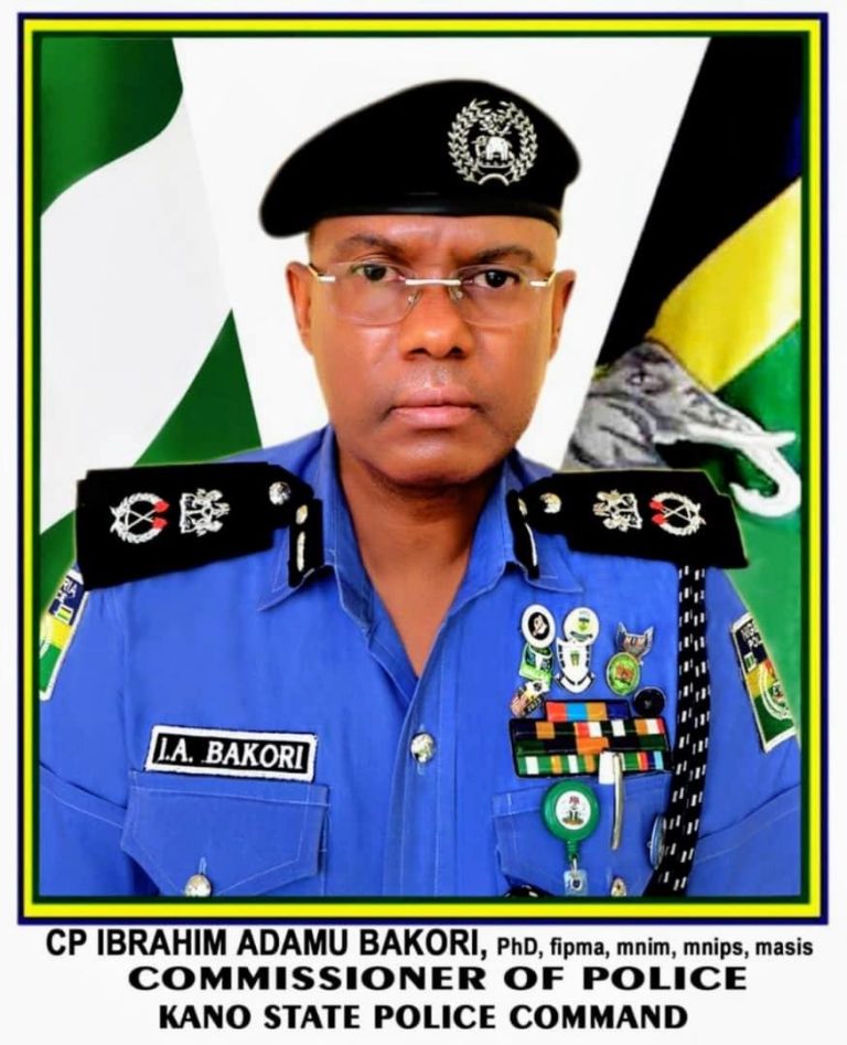 KANO POLICE DISMANTLE SYNDICATE 2